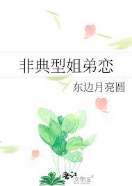 女老师姐弟恋